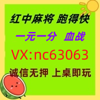 (有问必答)一元一分红中麻将跑得快正在进行中